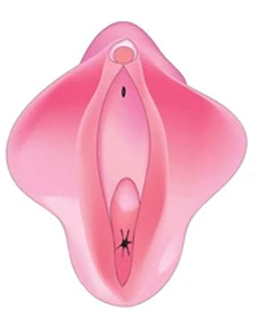 Improved Support & Comfort